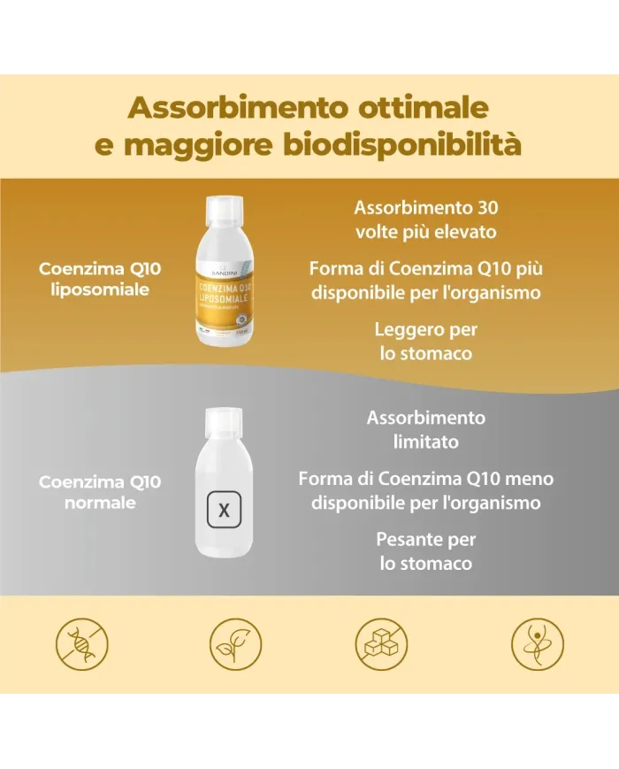 Coenzima Q10 Liposomiale Liquido - 250 ml